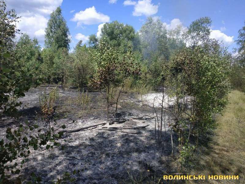 В Озерці – пожежа: зайнявся понад гектар лісу (фото)