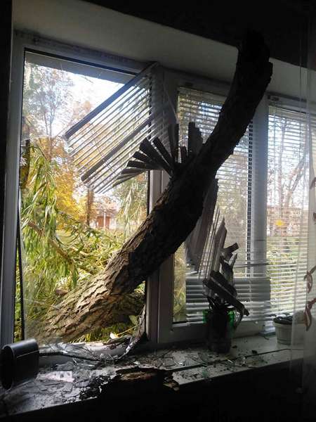 На Волині дерево вибило в гуртожитку вікно і знищило дах