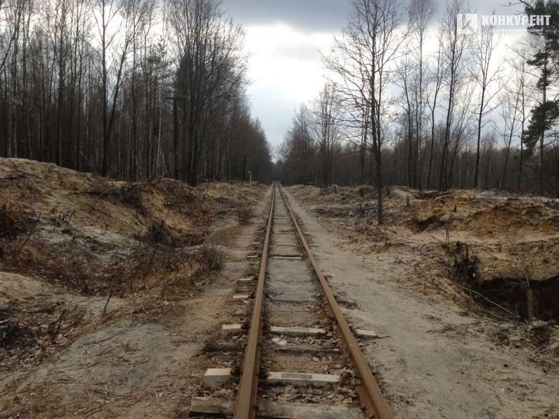 «Бурштиновий клондайк» на Волині: зруйнована залізниця та болотиста пустка замість лісів