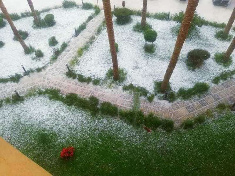 Єгипет засипало снігом: загинули троє людей, влада оголосила НС (фото)