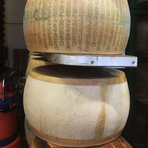 Як виготовляють сир пармезан (фото)