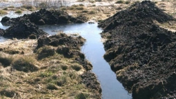 На Ковельщині у річку потрапили трансформаторні мастила: чи критичне забруднення (відео)