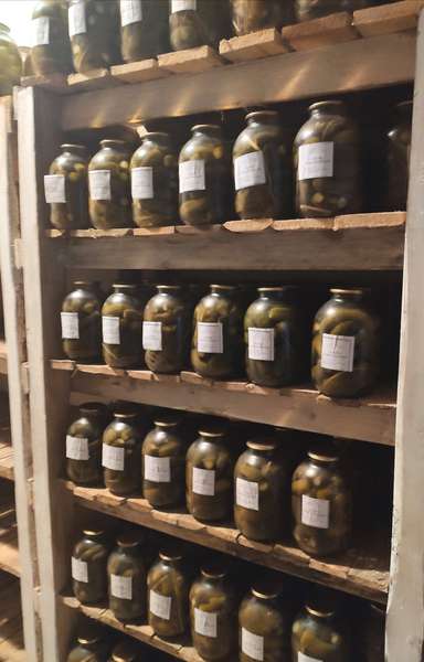 У Маневицькій колонії ув'язнені закрутили 750 кілограмів огірків (фото)