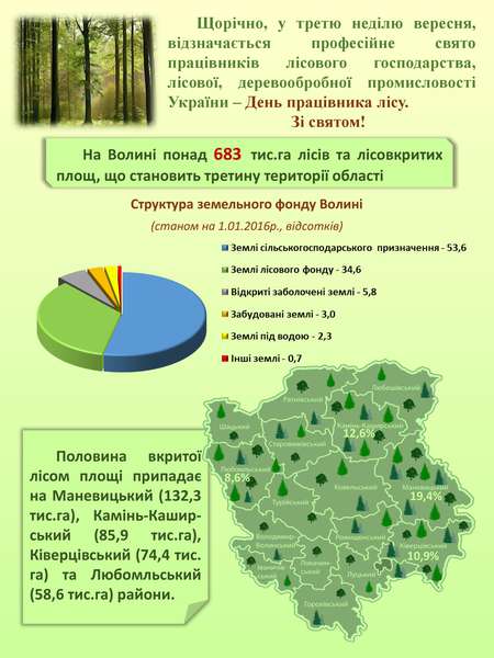 Підрахували, скільки на Волині лісів (інфографіка) 