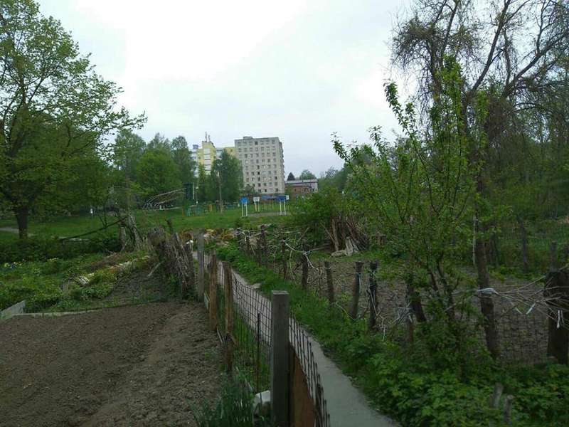 Шифер, гнилі штахети та іржавий метал: у Луцьку демонтували паркани (фото)