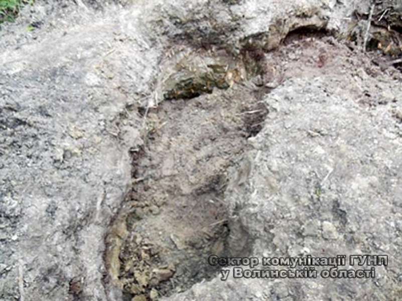 На Волині лопатами викопували бурштин (фото)