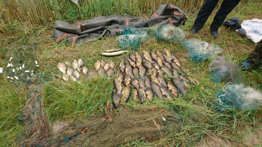 71 тис гривень за пів року: на Волині підрахували збитки від рибних браконьєрів (фото)