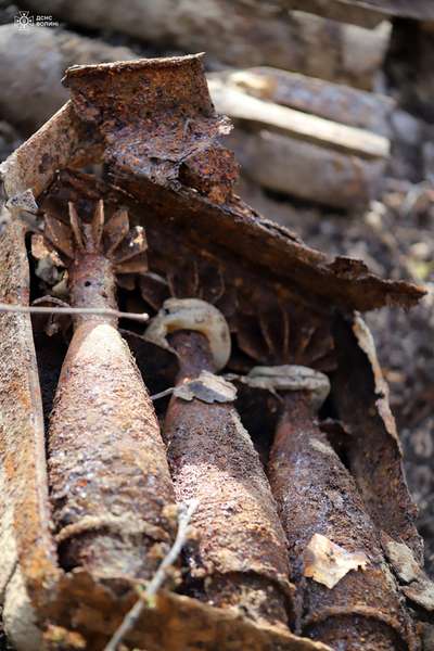 У лісі на Волині знайшли схрон боєприпасів німецької армії часів Другої світової війни (фото)