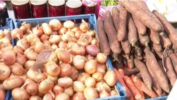 Цибуля – по 70, морква – по 40: чому у Луцьку зросли ціни на овочі (відео)