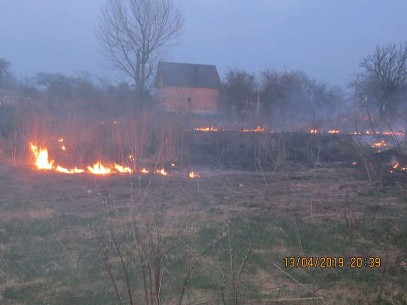 У Луцьку палії трави ледь не спалили сусідам хату (фото)