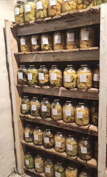 У Маневицькій колонії ув'язнені закрутили 750 кілограмів огірків (фото)