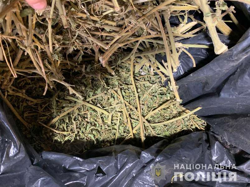 У гаражі нововолинця знайшли майже кілограм марихуани (фото)