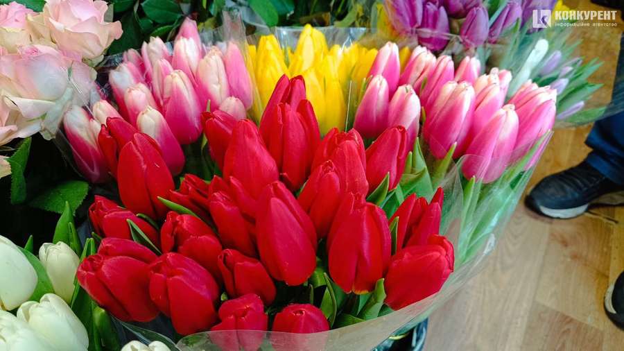 Квітковий бум: скільки коштують тюльпани в Луцьку