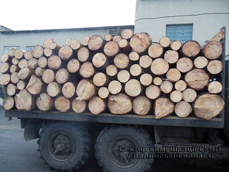 На Волині затримали вантажівку із 8-ма кубами неоформленої деревини