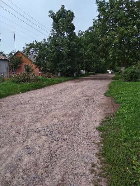 Дорога, каналізація та дерева: на окрузі депутата Луцькради обговорили проблеми містян 