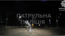 У Луцьку «безсмертні» переходять дорогу, де їм заманеться (відео)