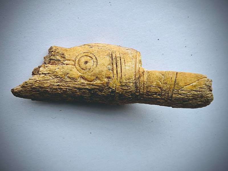 На Полтавщині археологи розкопали об’єкти скіфської доби та житло епохи бронзи (фото)