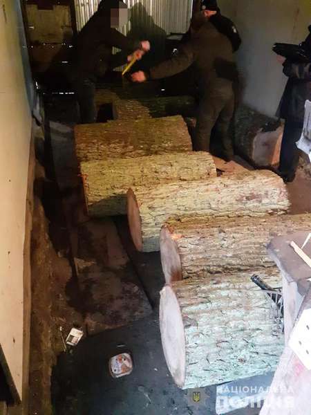 На подвір’ї у волинянина знайшли 31 колоду краденого дуба (фото)