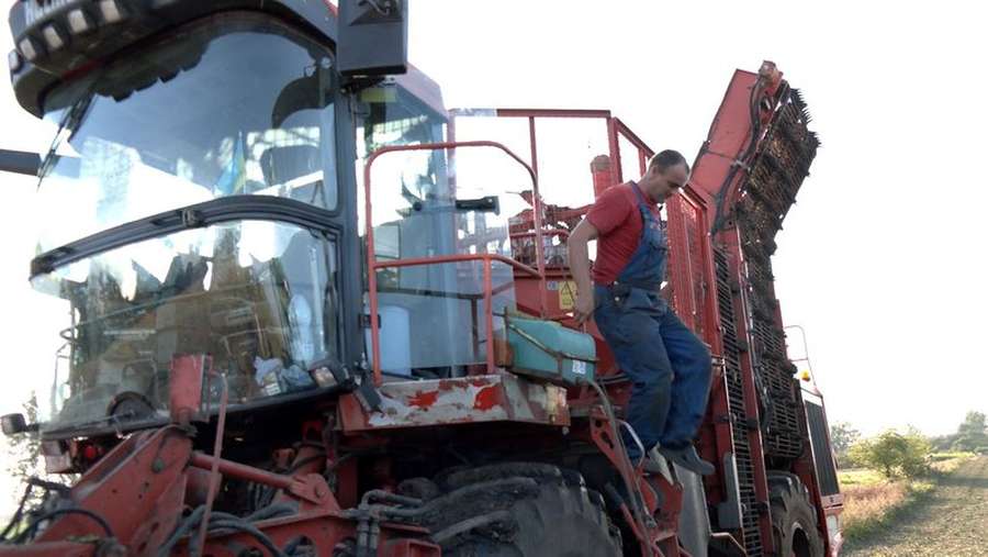 Зібрали понад 80 тисяч тонн врожаю: на Волині копають буряки (фото, відео)