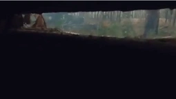 Відео «без купюр»: бій воїнів 100-ї бригади ТрО неподалік Кремінної зняли на GoPro (відео)