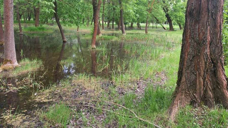 У Центральному парку Луцька досі стоїть вода