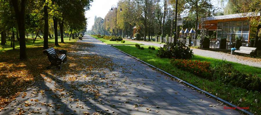 Фотохудожник показав золоту осінь у Луцьку (фото)