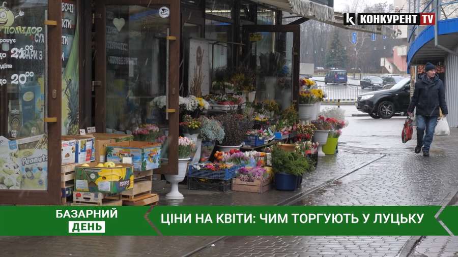 Тюльпани, хризантеми,  еустоми та троянди: скільки коштують квіти у Луцьку (відео)