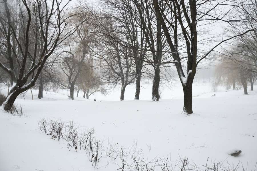 Люті зими повертаються: Луцьк замело снігом (фото)