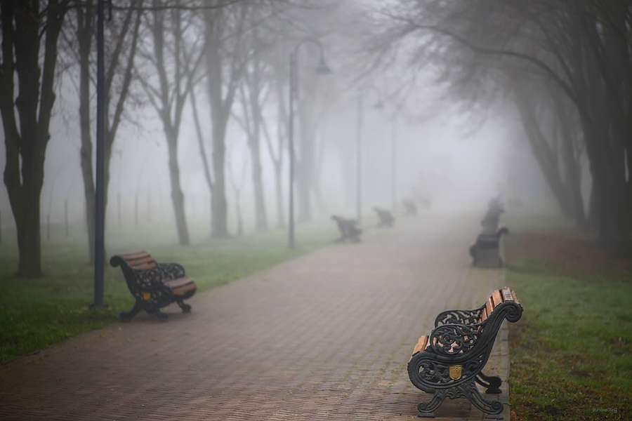 Туманні етюди: фотограф показав світлини ранкового Луцька (фото)