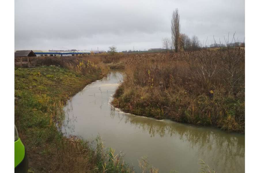 Гнідавський цукровий завод забруднив річку  Жидувку, – луцькі екологи (фото)