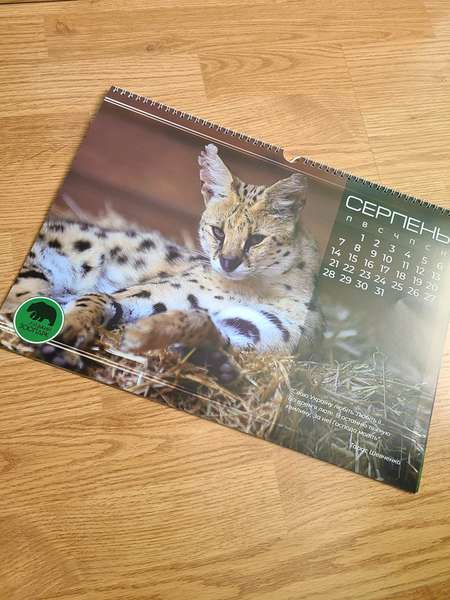 Позитивний і мотивуючий: Луцький зоопарк випустив календар на 2023 рік (фото)