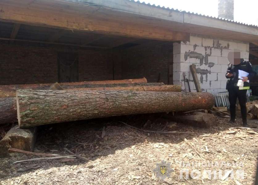 На пилорамі у жителя Цумані знайшли деревину без документів (фото)