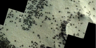 Південь Марса заполонили чорні «павуки»: що це за явище (фото)