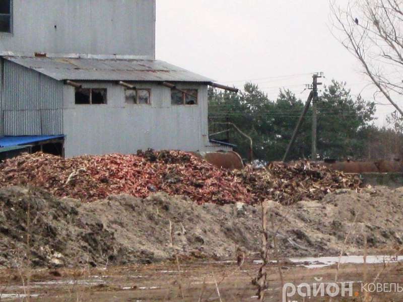 «Укрветсанзавод» скидає туші  тварин на околицях Ковеля (фото)