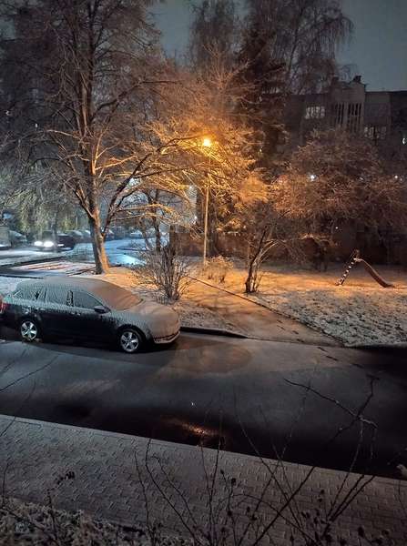 Зима близько: у Луцьку випав перший сніг (фото)