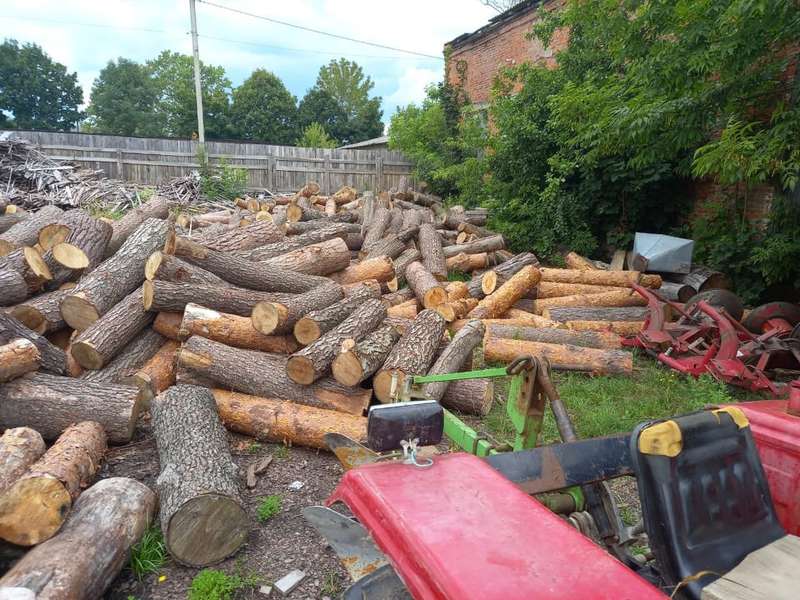 На Волині вилучили 120 кубометрів незаконної деревини (фото)