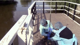 Епідеміологи перевірили воду в Луцьких водоймах: які результати (фото, відео)