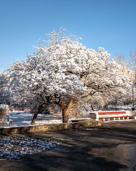 Сніжний ранок посеред весни: казкові фото Луцька