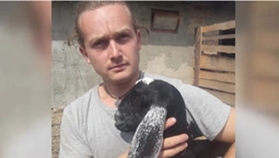 «Він скрізь мене заблокував», – волинського фермера звинувачують у шахрайстві (відео)