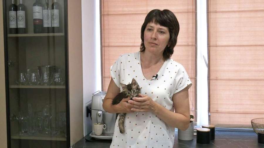 Херсонський кіт Кавун знайшов новий дім у Луцьку (фото, відео)