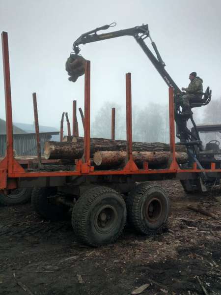 На Волині на пилорамі знайшли незаконну деревину (фото)