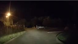 В Луцьку біля будинку Голованя завівся хижий звір (відео)