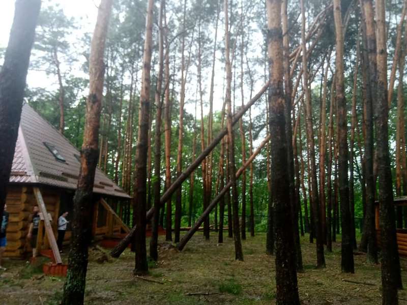 Вирвані з корінням дерева: на Світязі через буревій постраждав дитячий табір (відео)