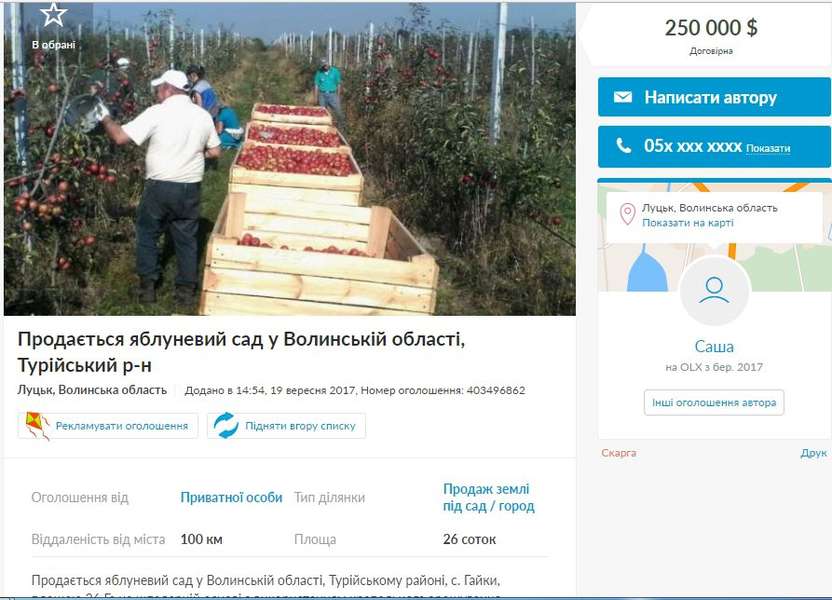 На Волині продають яблуневий сад, вартістю 250 тисяч доларів
