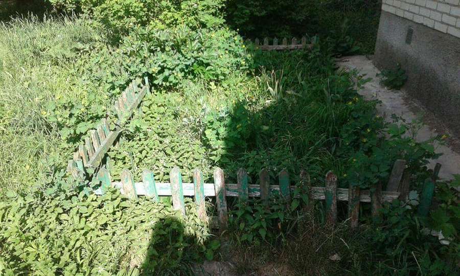 Гнилі штахети та залишки іржавого металу: у Луцьку демонтували паркани у дворах (фото)