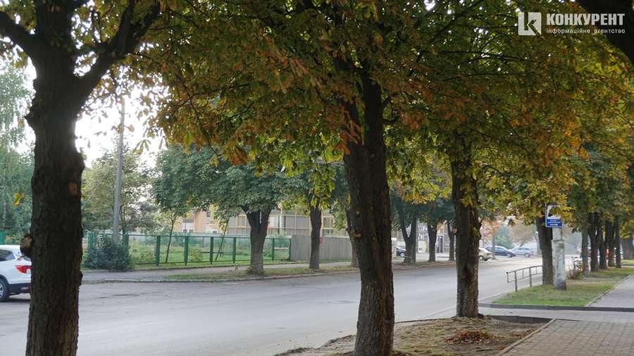 Квіти, песики, каштани: Дубнівська у Луцьку восени (фото)