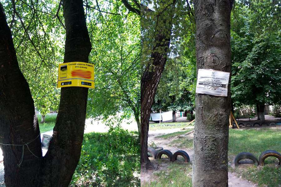 Лучан просять повідомляти про незаконну рекламу на деревах (фото)