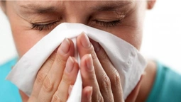 На Волині збільшилася кількість хворих на астму та алергію