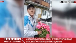 У Володимирі «романтик» вирвав з клумби кущ квітів: покарання не змусило чекати (відео)