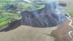 Згоріло пів поля: у Луцькому районі загасили масштабну пожежу (фото)